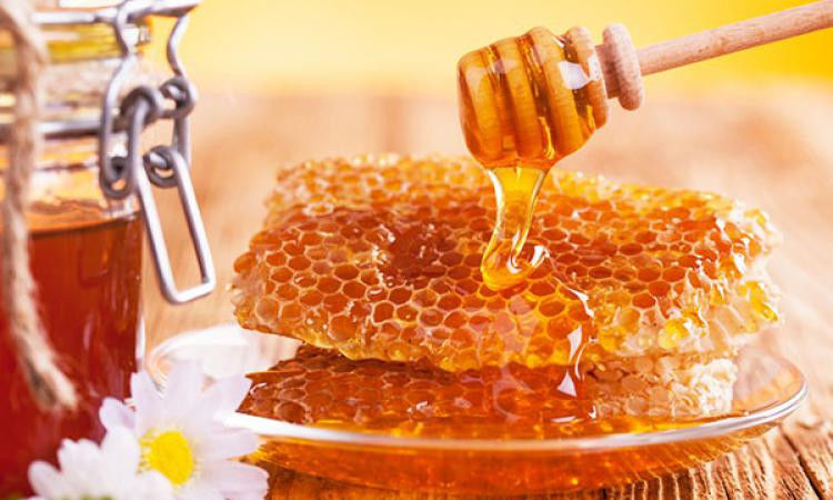 Україна – лідер з експорту меду до ЄС – аналітики компанії Pro-Consulting. День.